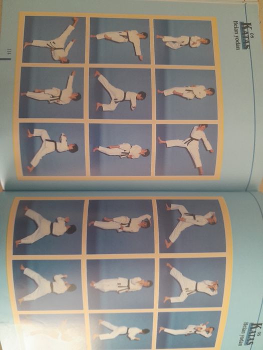 Livro educacional O Karaté