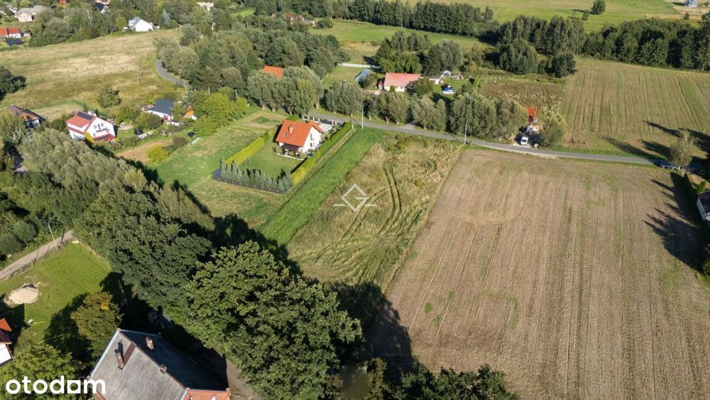 Drewnica | 2107 m² | Żuławy Wiślane