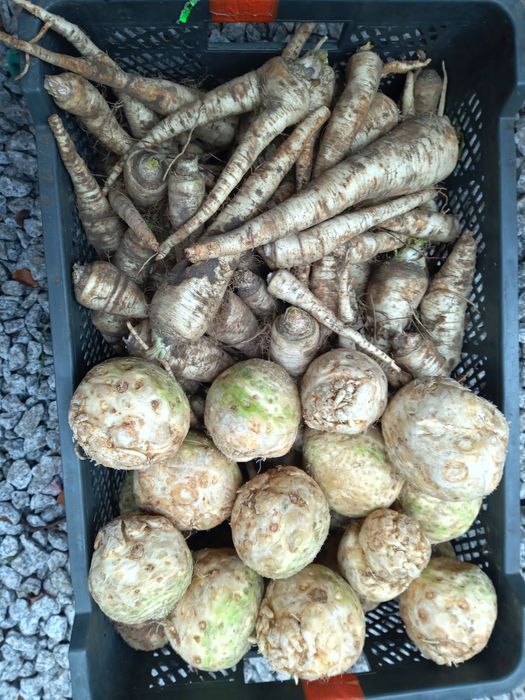 Dostawa warzywa i owoce z  własnego  gospodarstwa