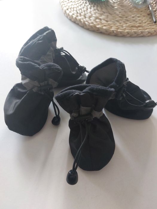 Ubranka dla malego psa lub kota. lub kota