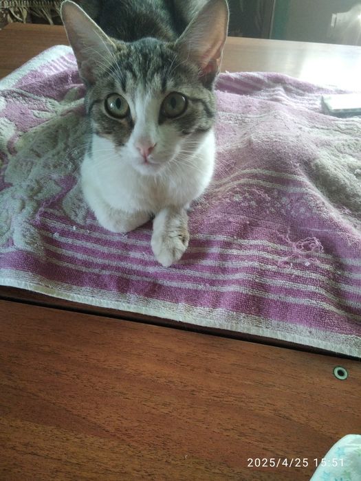 Потрібна допомога дуже сильно