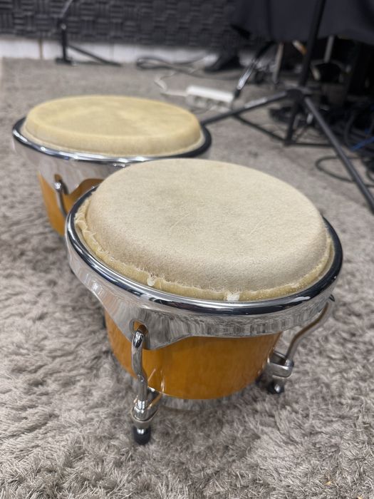 Bongo percussão