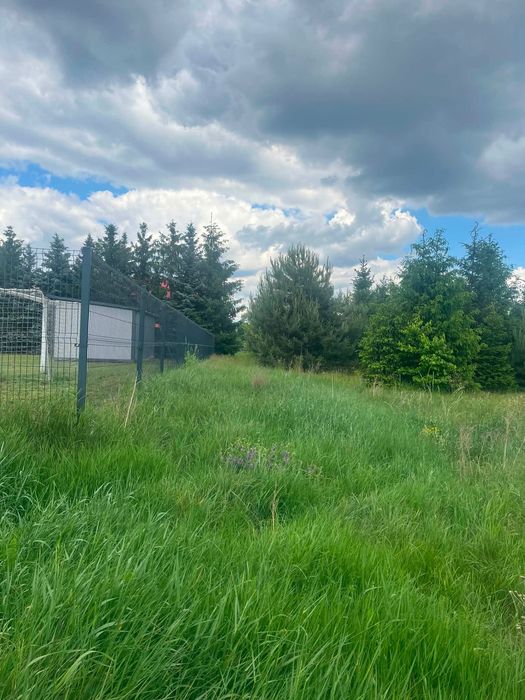 Działka z lasem