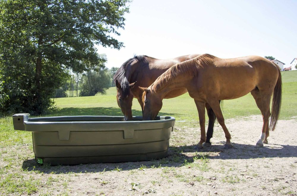 Poidło pastwiskowe dla bydła koni 550 l Kerbl
