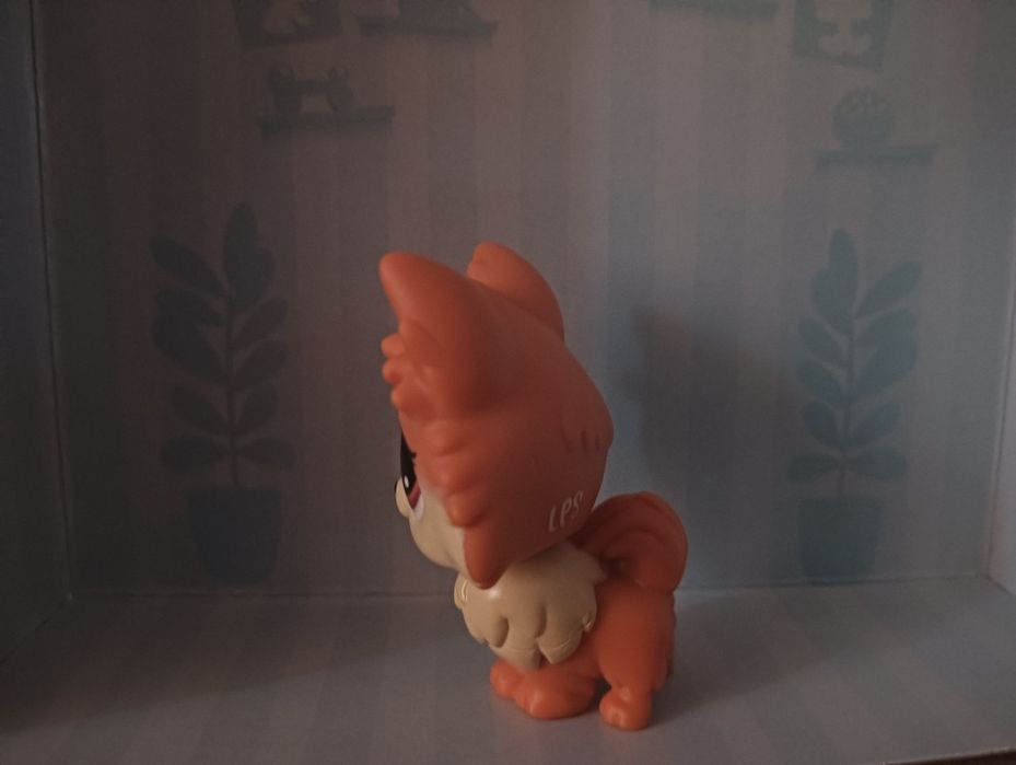Pet shop little lps