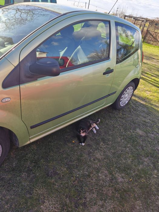 Sprzedam Citroena C2, rocznik 2004, silnik 1.1