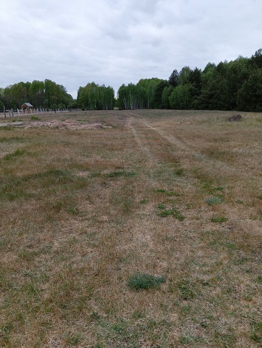 Sprzedam działkę rekreacyjno,-rolna - Widok 2