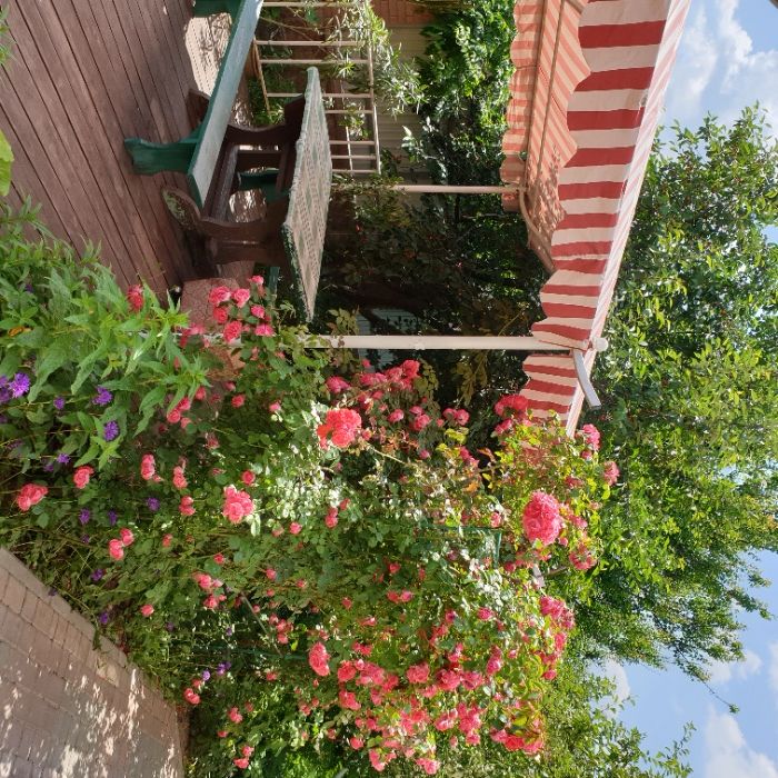 Дом посуточно с. Ходосовка, Києво-Святошин. р-н, Киев 5 км, 220 кв.м