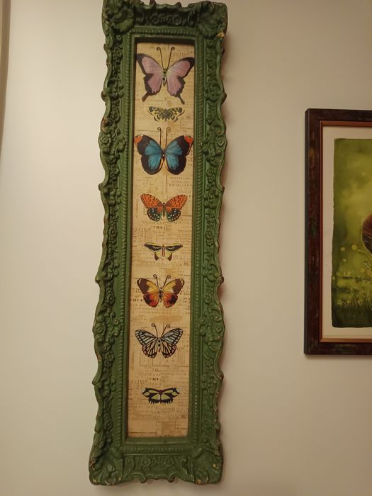 Quadro borboletas Loja do Gato Preto