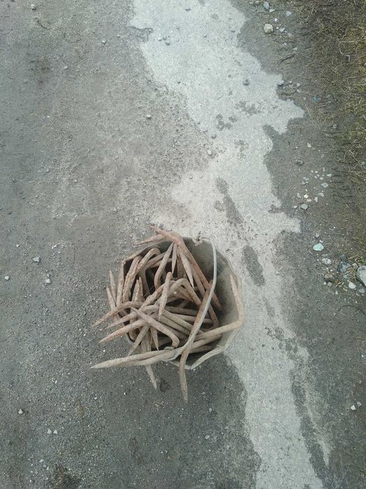 Двері дерев'яні, ліжко металеве та інше