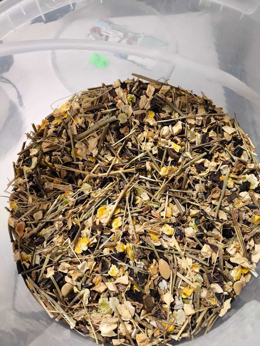 Rarytas dla gryzoni – ziołowo-warzywny KAMELEON | LIKWIDACJA SKLEPU