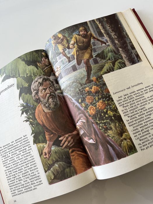 Ilustrowana Biblia młodych