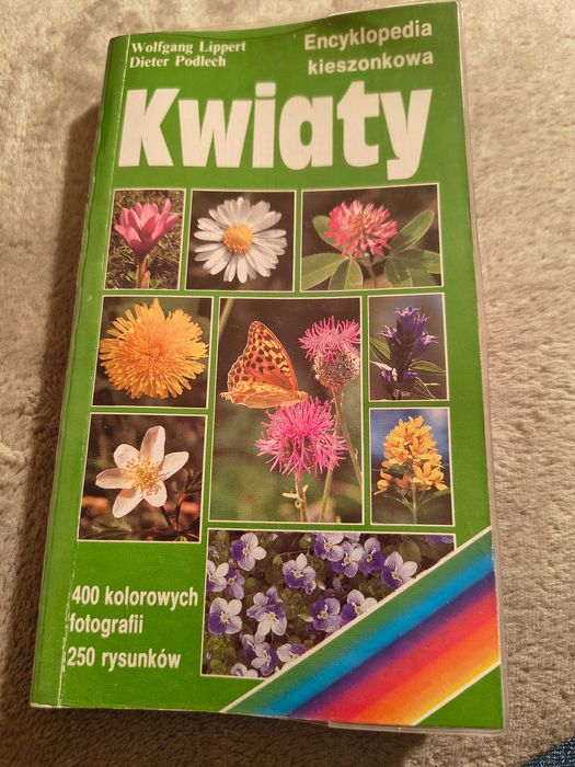 Kwiaty, Rośliny doniczkowe, Rośliny borów