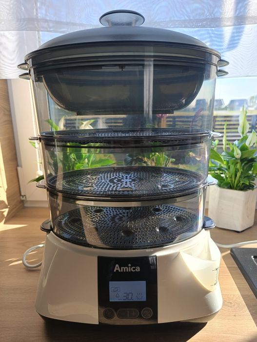 Parowar Amica PT3011