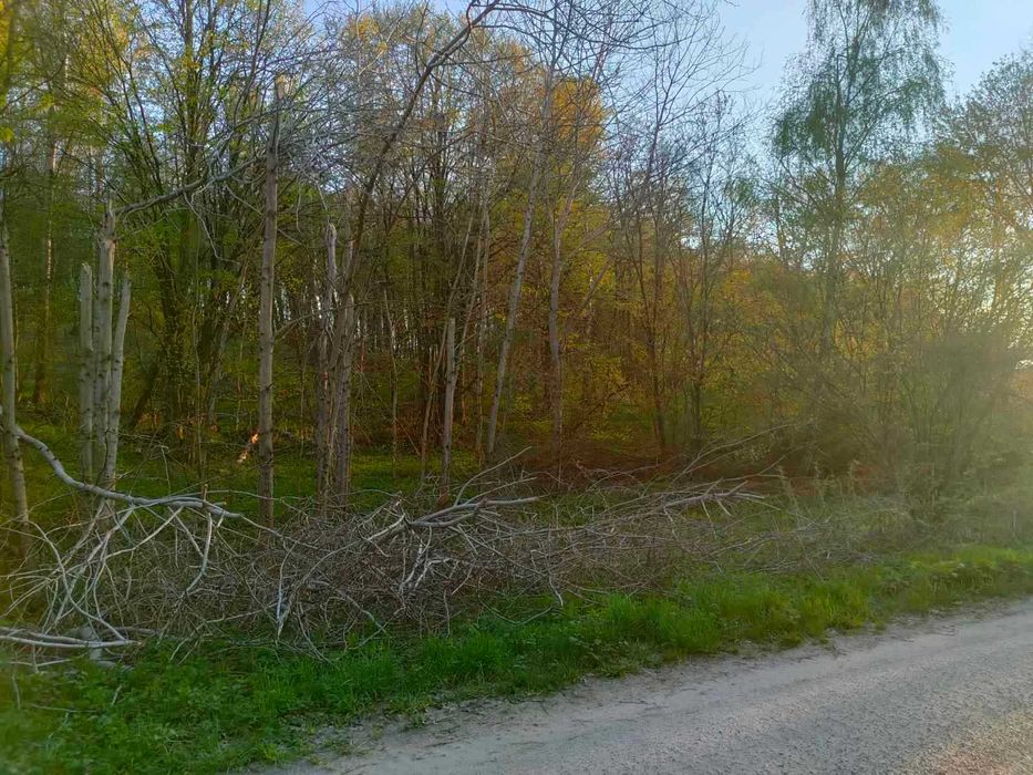 ділянка 150 сот на схилі гори