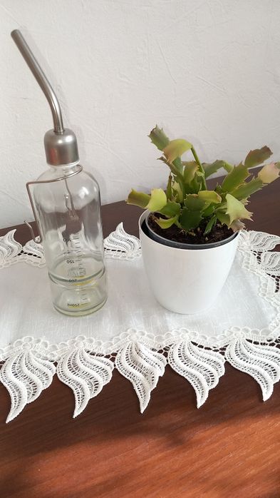 Poidelko dla chomika, koszatniczki