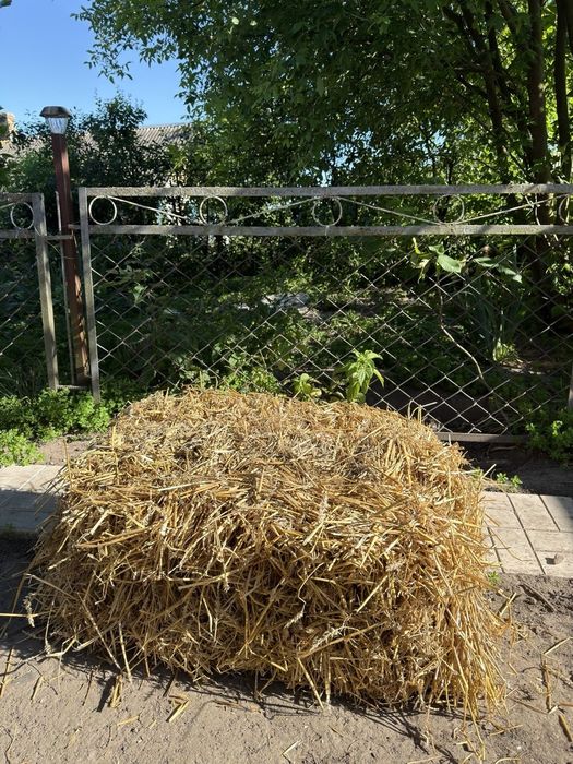 Тюки пшеничної соломи
