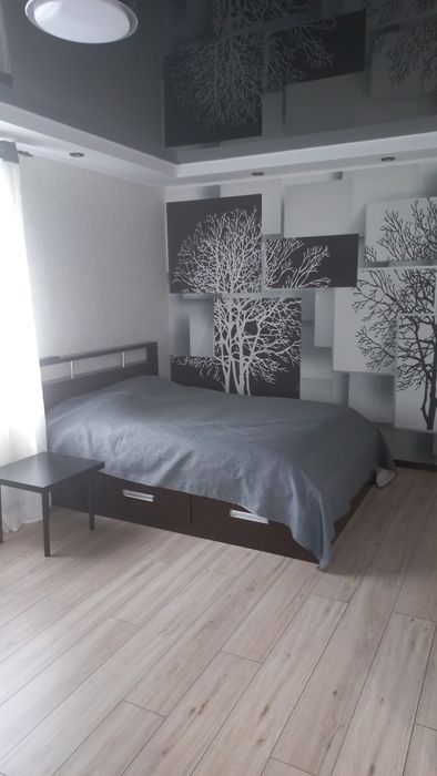 1-к квартира Проспект Перемоги 103 подобово (посуточно)