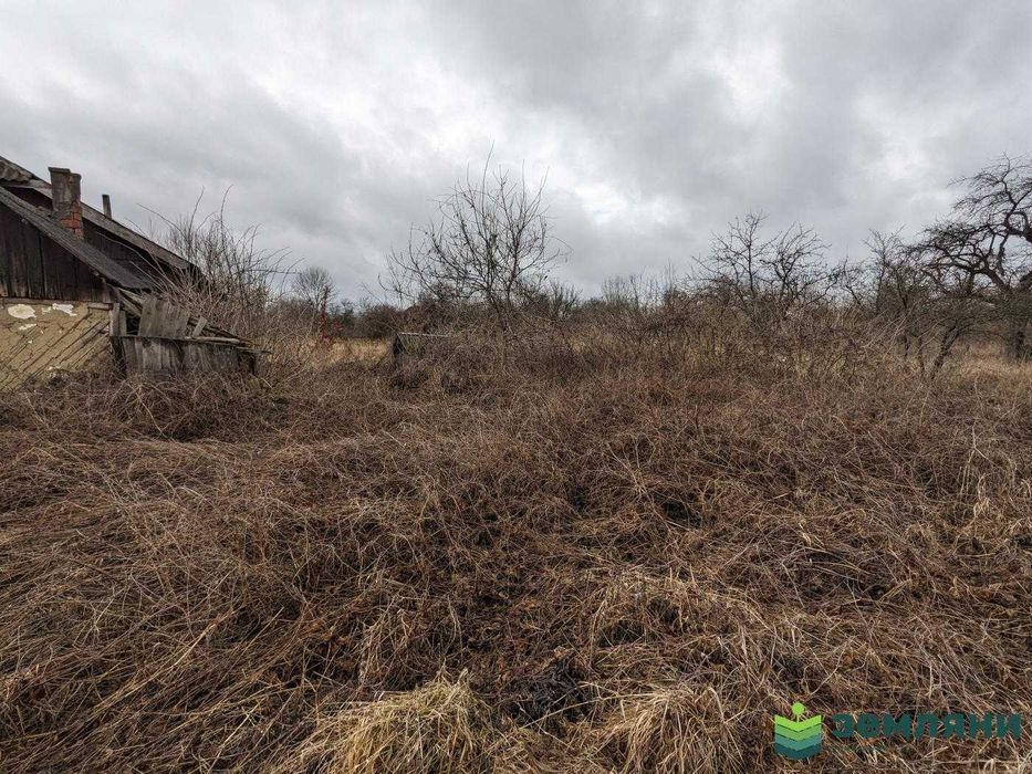 Продається ділянка 50 сот під будівництво в с. Лисець (6)