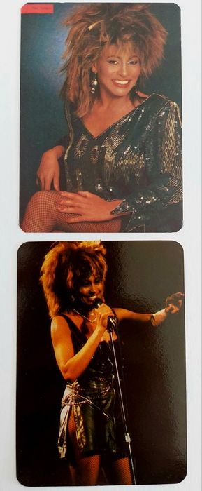 TINA Turner - 12 calendários