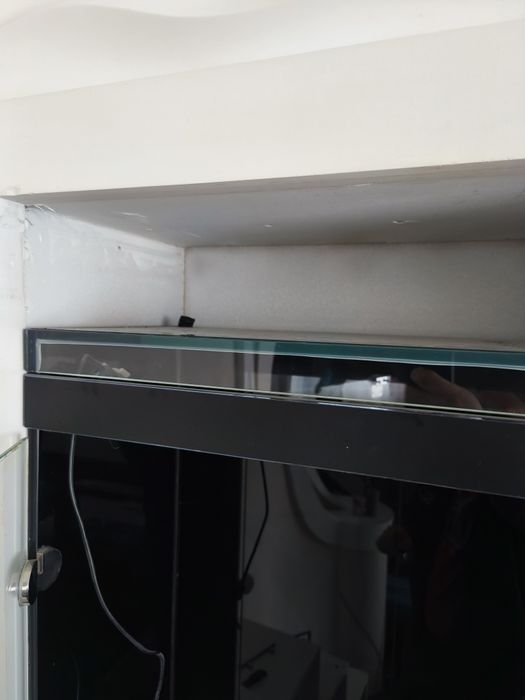 Тераріум для плазуна