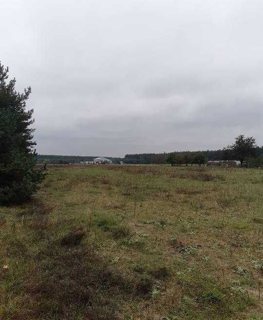 Działki budowlane dobra lokalizacja, atrakcyjna cena - More