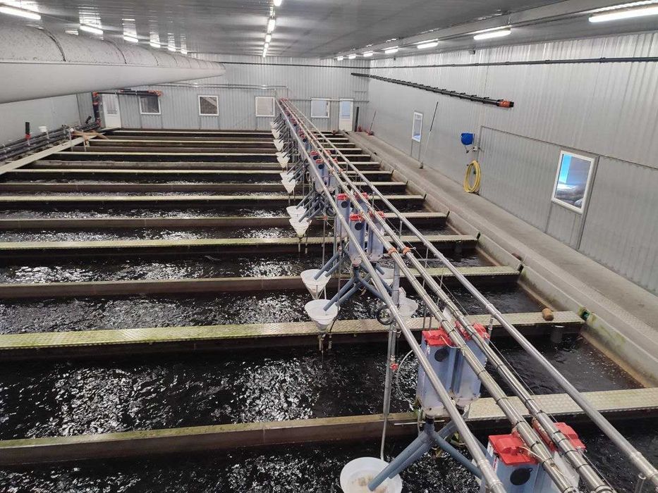 Проектування УЗВ (RAS систем)