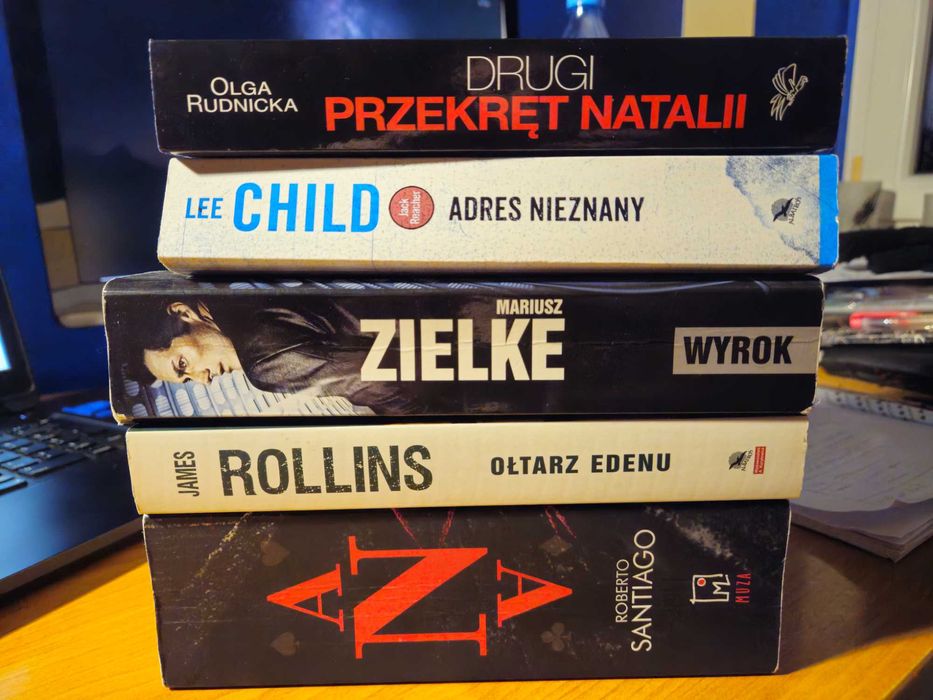 Kryminały Rudnicka Zielke Santiago Rollins Wyrok