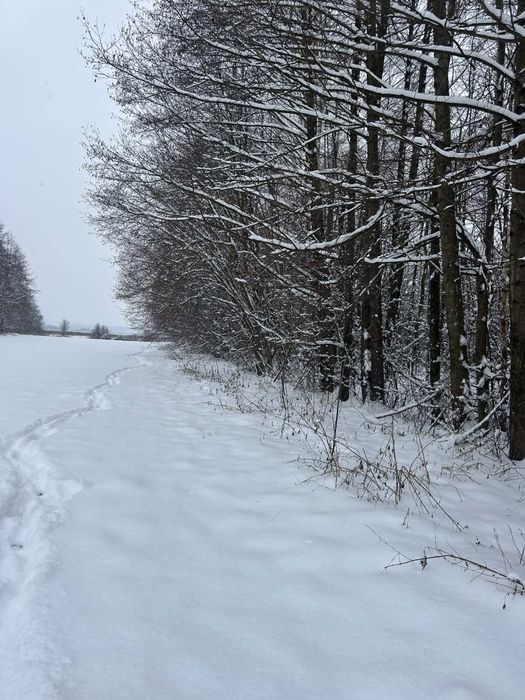 Sprzedam działke