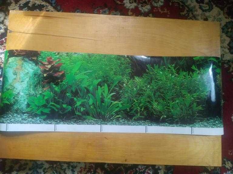 Разноцветные камни, обои для аквариума