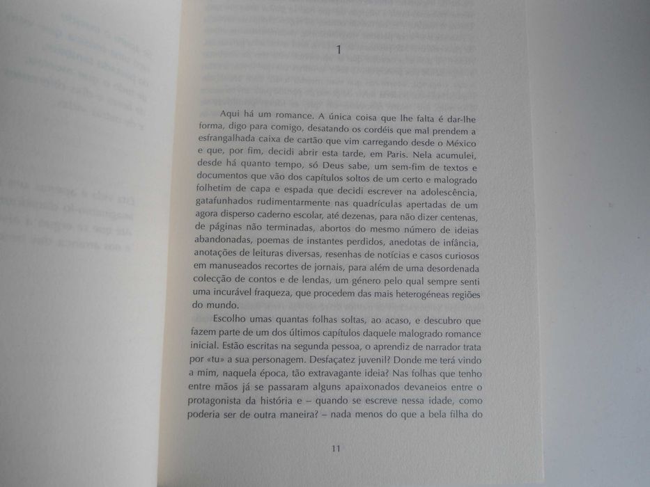 O regresso do Paladino por Antonio Sarabia