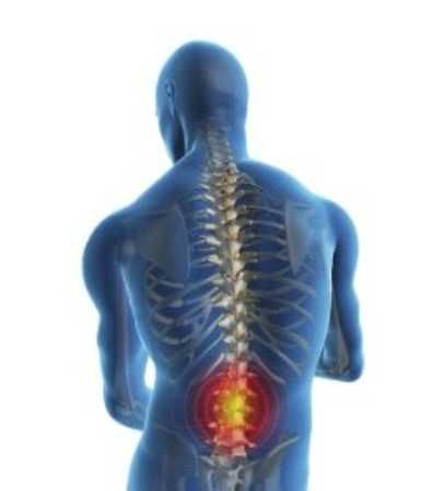 Manual Uso de plantas medicinais