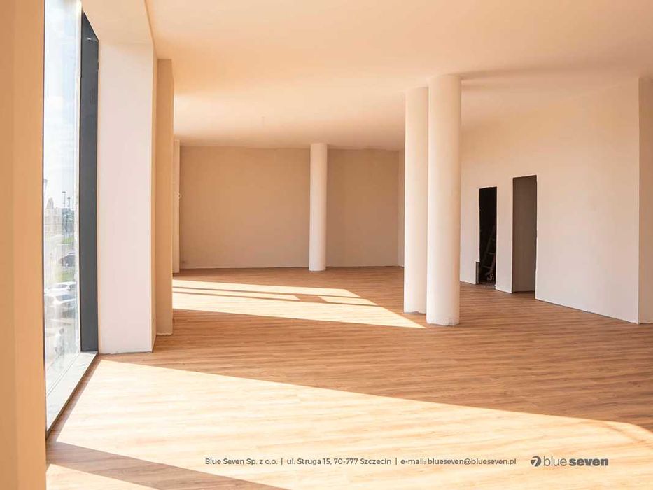 Powierzchnia do wynajęcia na pierwszym  piętrze