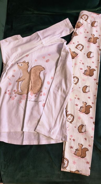 134 komplet wiewiórka