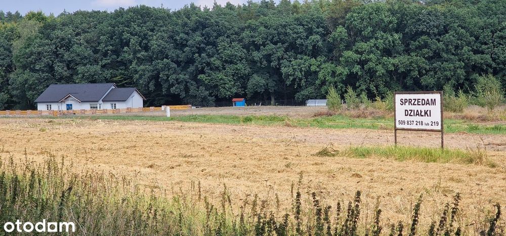 Swobnica działka nad jeziorem świetna lokalizacja - Widok 2
