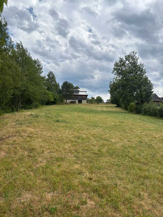 ТЕРМІНОВО! Будинок 285 м² на 32 сотках у Микуличині за ціною земельної ділянки! Лише $80 000