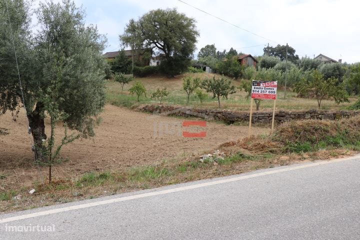 Terreno — Freixianda, Ribeira Do Fárrio E Formigais, Santarém