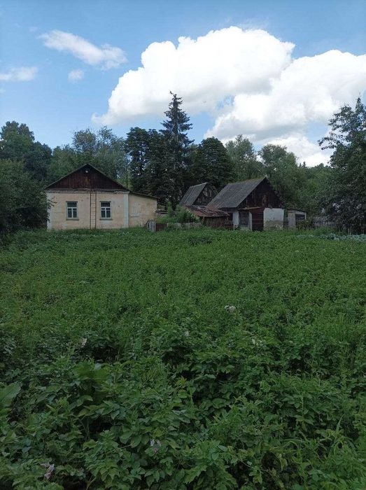 Продаж будинку в тихому місті.