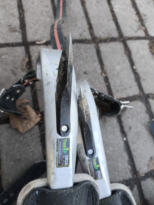 Drzewołazy Protekt DR2A SP 502