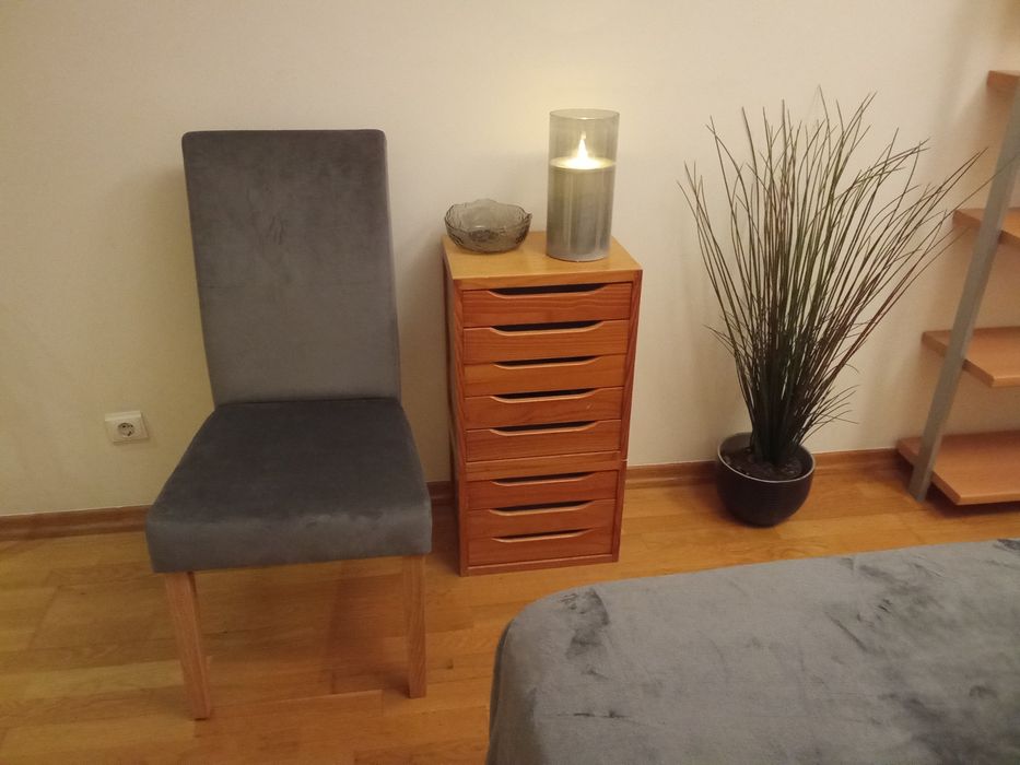 Cadeira com costas, móvel de gavetas e planta com vaso