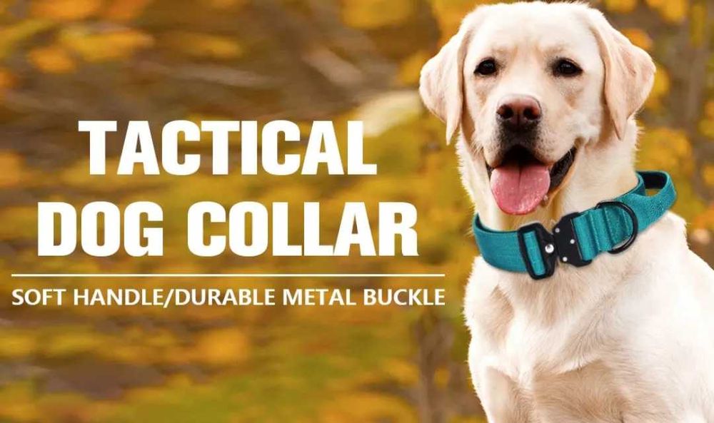 Ошейник с ручкой и застежкой тактический для собак