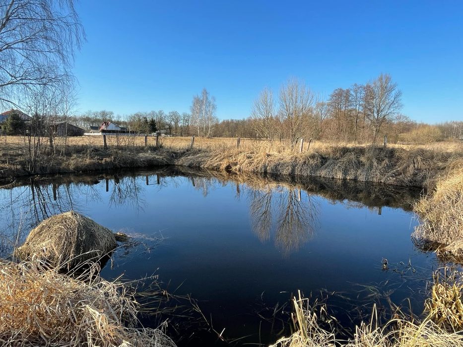 Sprzedam siedlisko blisko jeziora Chańcza