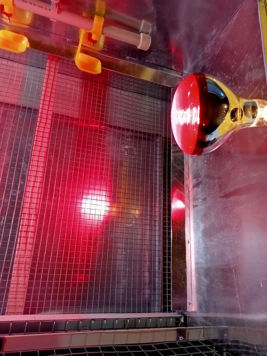 Брудер-ясла для обігріву б/у