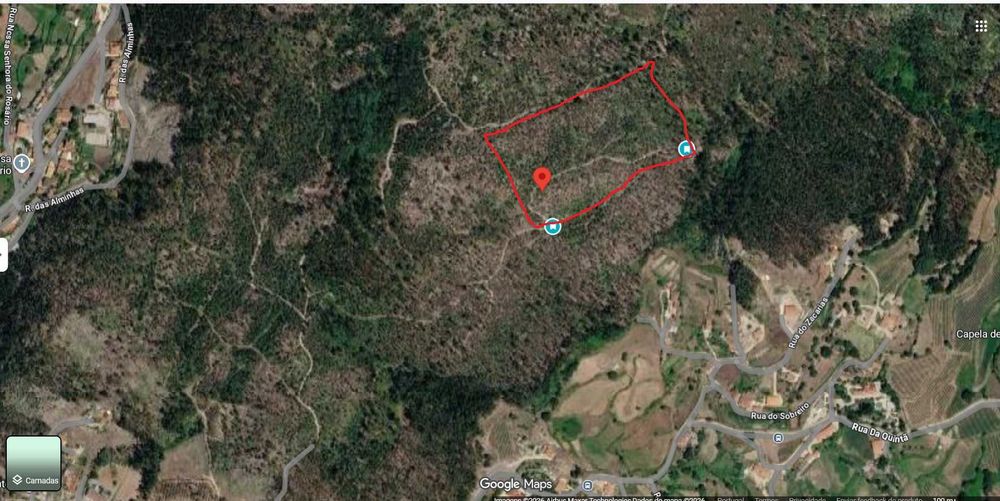 terreno florestal 35 000m2