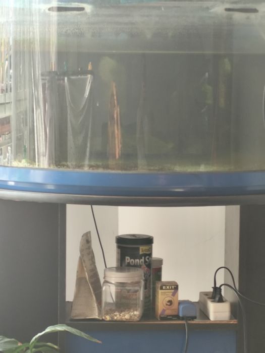 Aquário paronamico 80 L