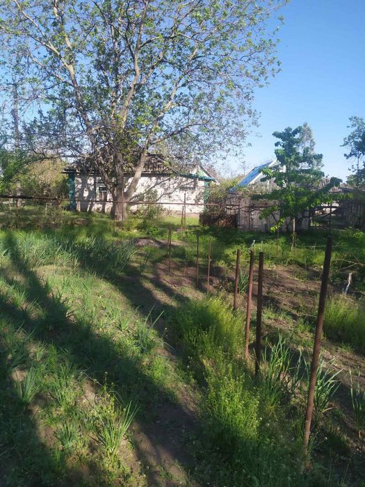 Продам Дом село Пришиб