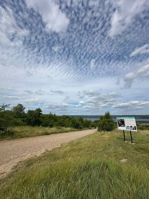 Продаються три земельні ділянки біля річки Дністер ( Бакотська Колодії