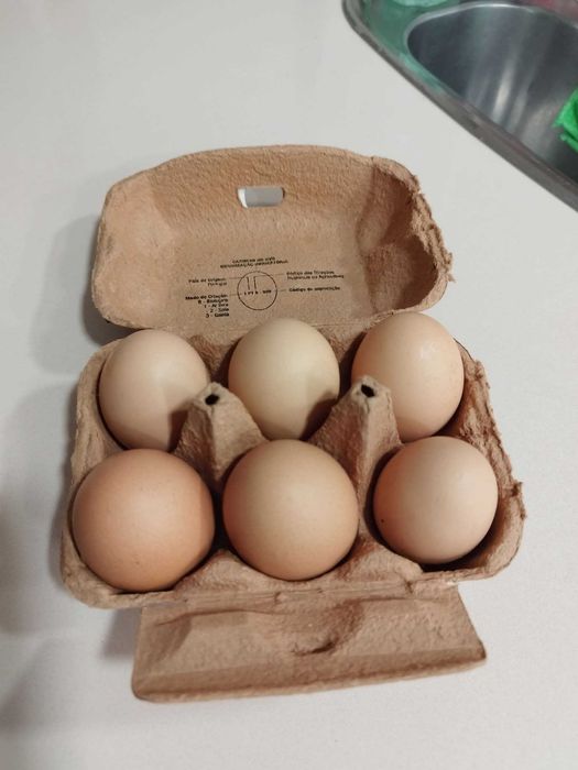 Ovos de Galinha Pedrês Portuguesa