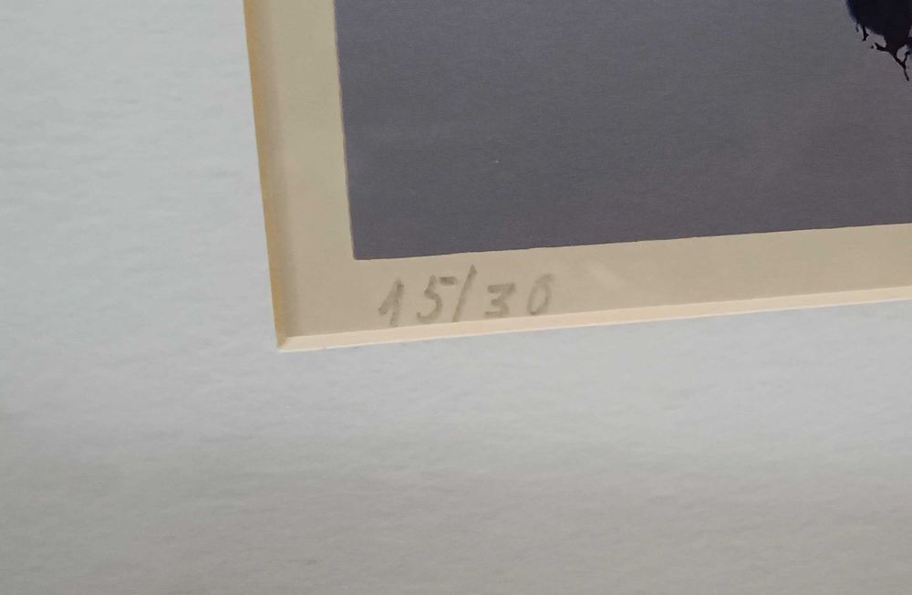 Serigrafia Armanda Passos