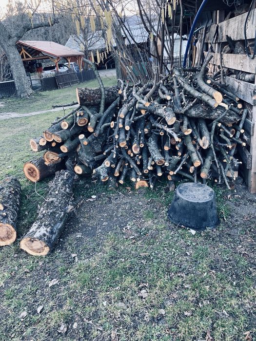 Drewno do wedzenia i grylowania